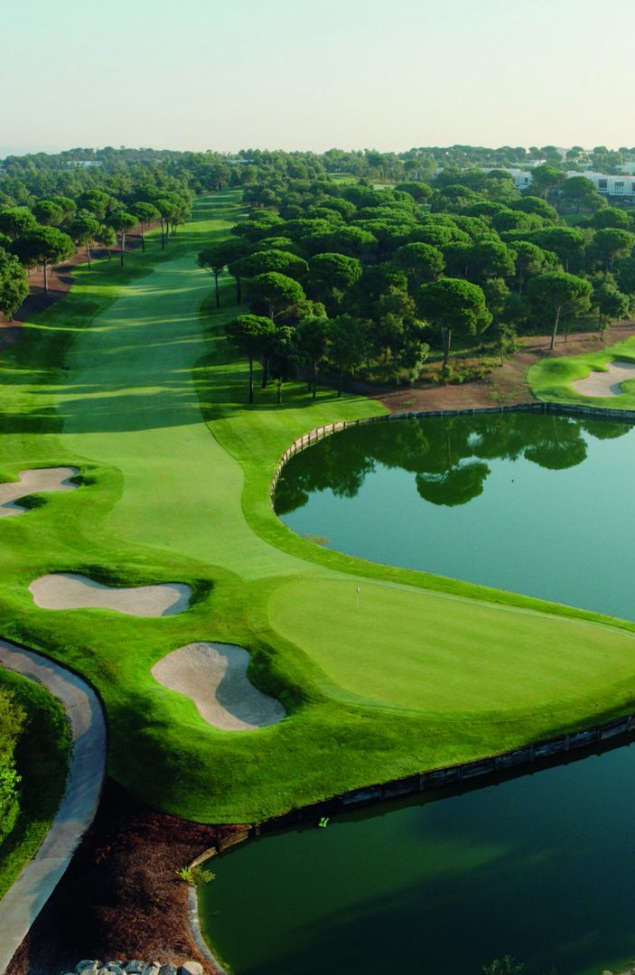 A golf hole beside a lake, seen from the air, ringed by pine trees